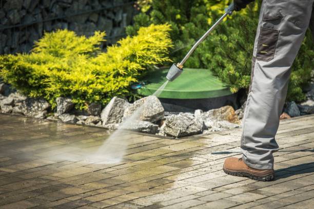 Best Animal Enclosure Cleaning  in Harbison Nyon, CA